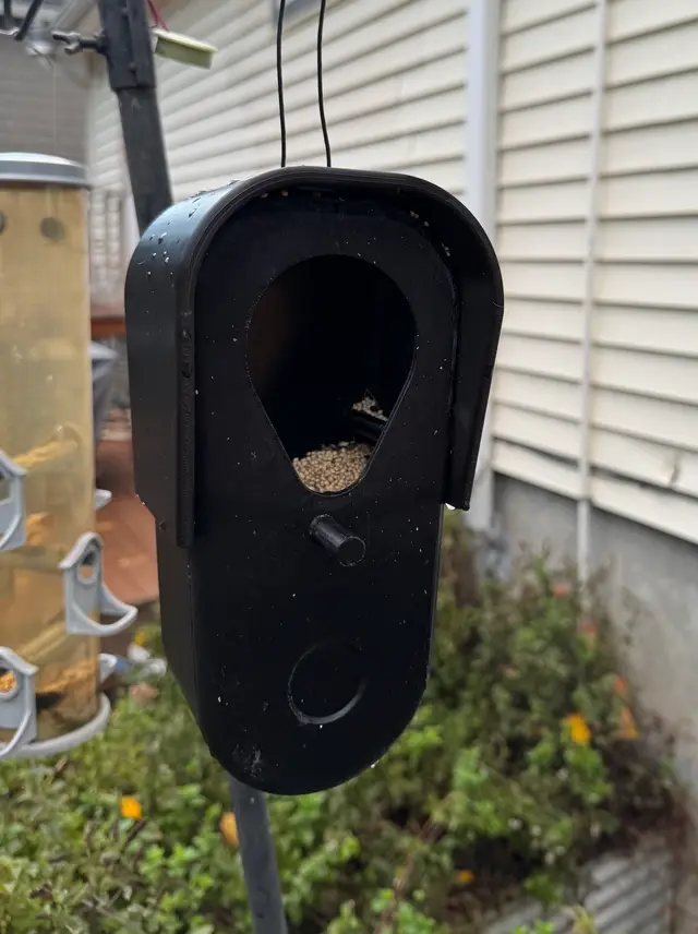 Flock Camera with chamber squirrel and bird feeder V2 with perch — modelo 3D