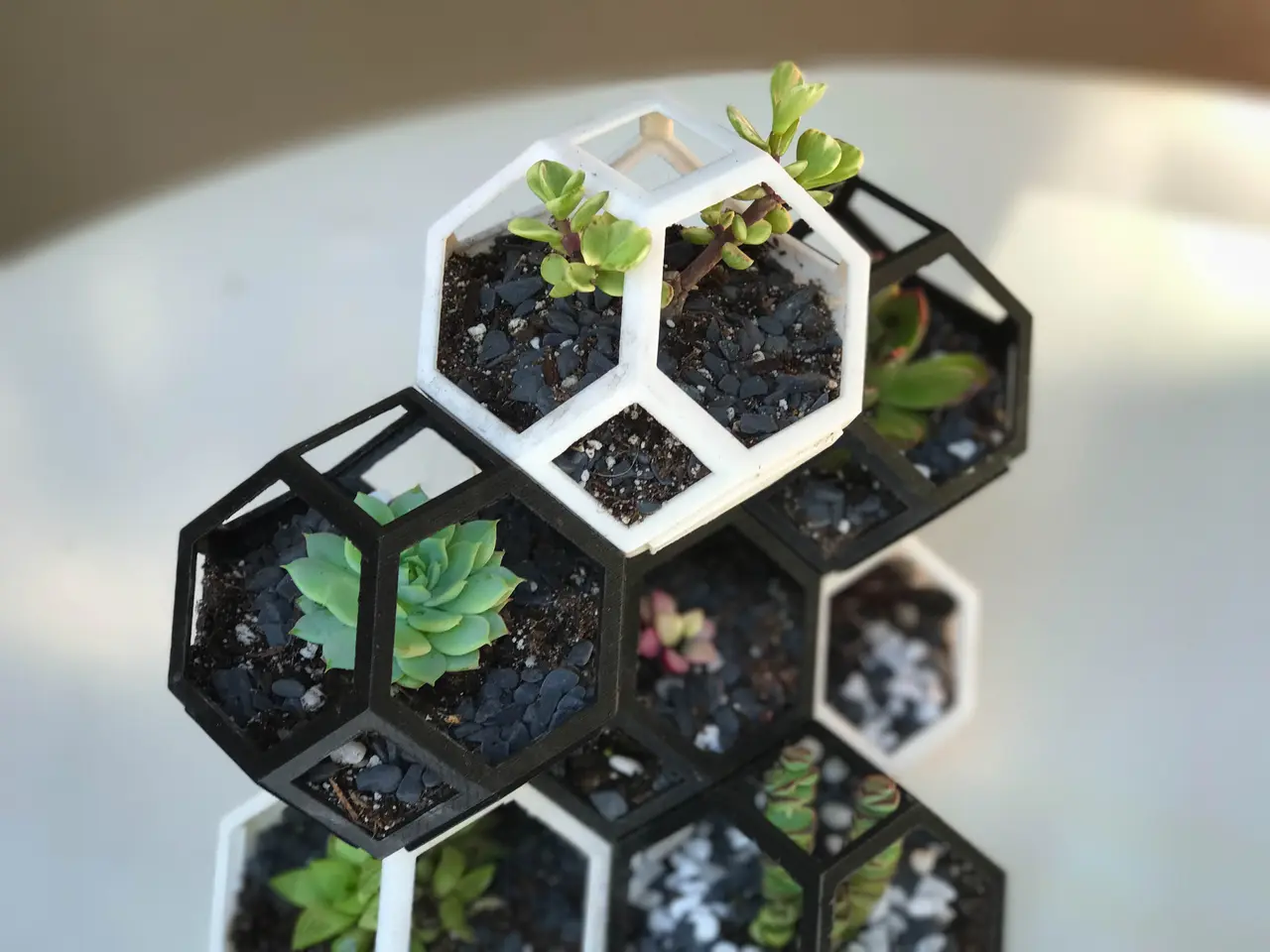 Plantygon - Modular Geometric Stacking Planter for Succulents — modelo 3D