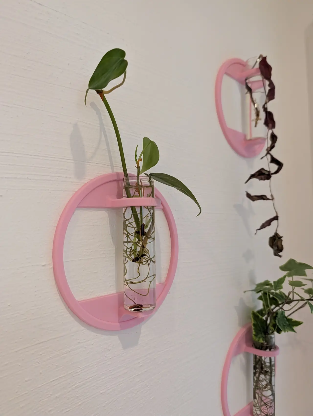 Plant Propagation Wall Mount for Test Tubes — modelo 3D