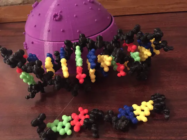DNA model with inserted magnets — modelo 3D