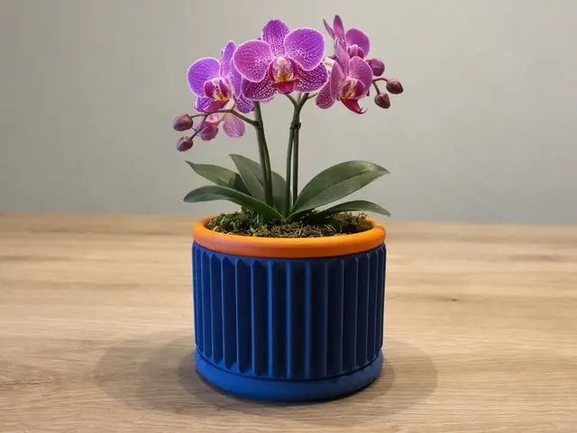 Two-Part Orchid Pot with Drainage System — modelo 3D
