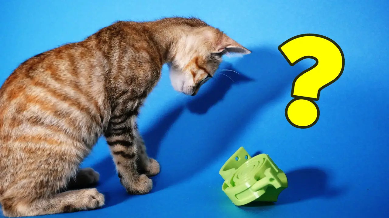 Print in Place - Pet-Puzzle / Cat-Toy / Food dispenser — modelo 3D
