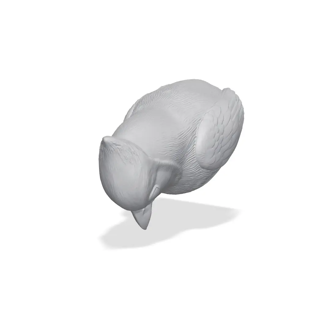 Blue Jay Bust 3D Print STL — modelo 3D