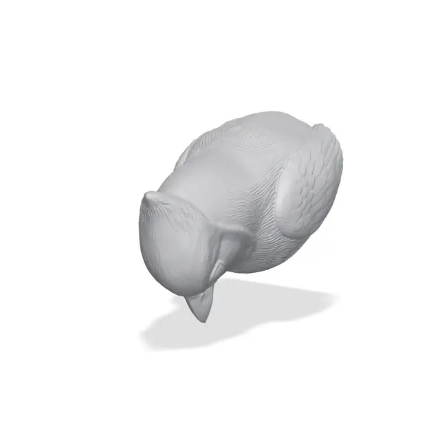Blue Jay Bust 3D Print STL — modelo 3D