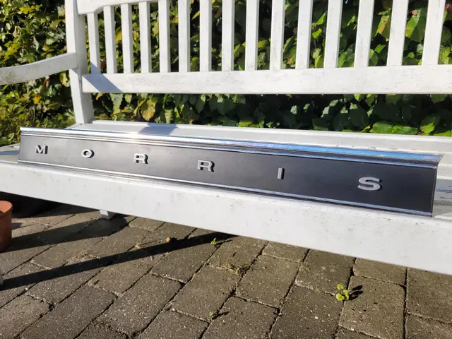 Morris Marina TC Coupe Rear Plate Letters — modelo 3D