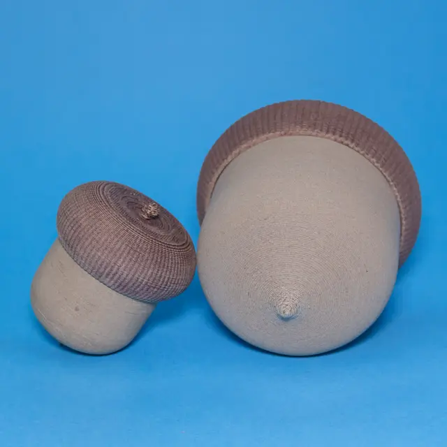 Large Acorntainers / Musical Shaker — modelo 3D