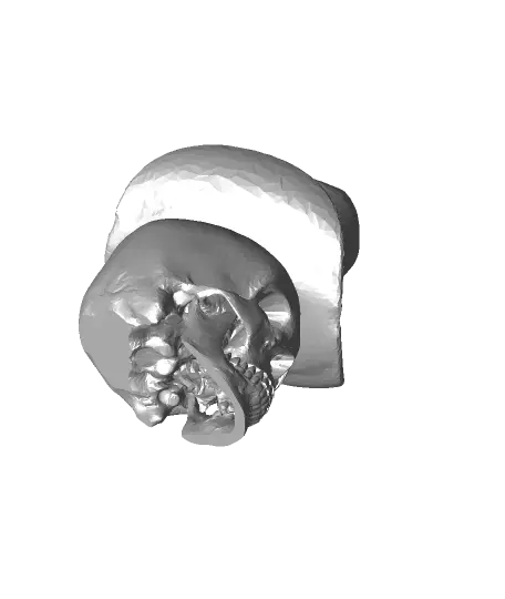 cowboy skull — modelo 3D