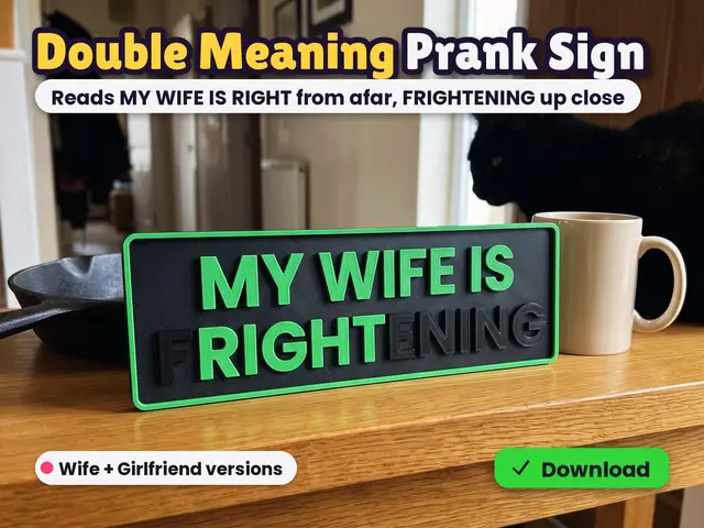 Wife/Girlfriend is FRIGHTENING Double Meaning Sign — modelo 3D