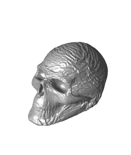 Wrinkled Skull — modelo 3D