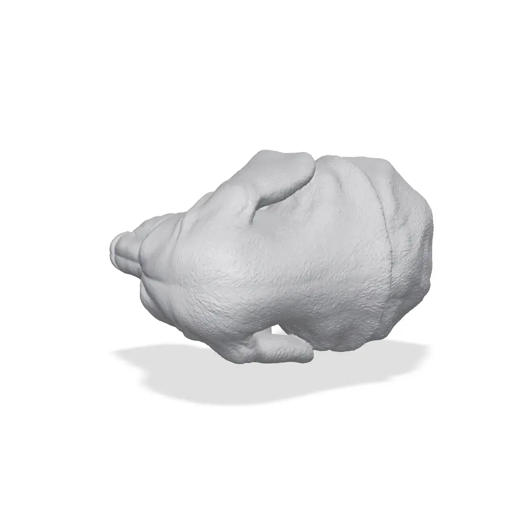 Basset Hound Bust 3D Print STL — modelo 3D