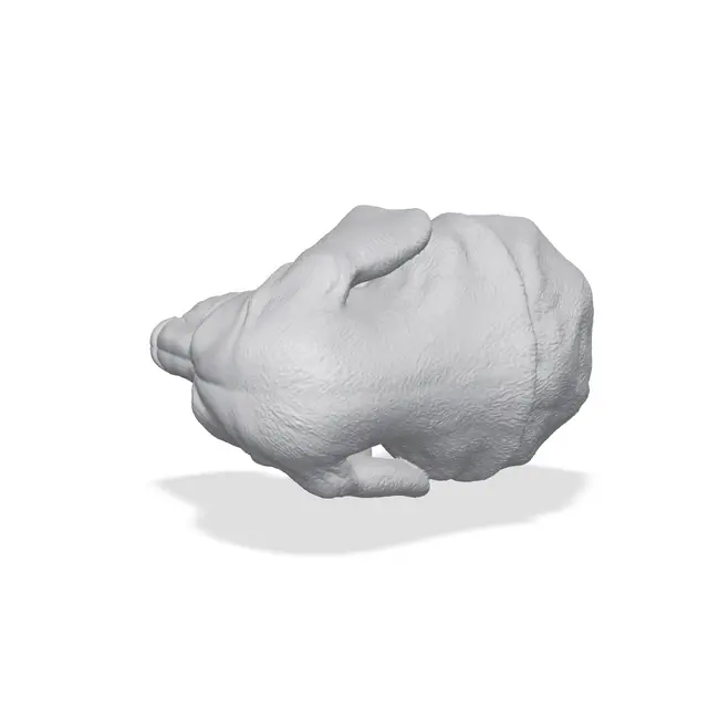 Basset Hound Bust 3D Print STL — modelo 3D