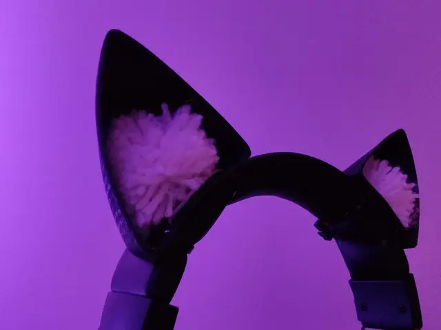 Cat Ears For Headphones — modelo 3D