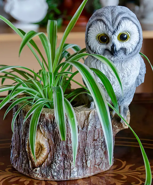 Owl planter/item holder/item organizer — modelo 3D