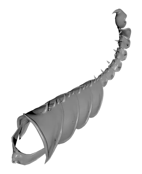 Cat Armor — modelo 3D
