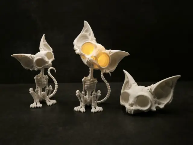 Skeletal Cat with Adjustable Head — modelo 3D
