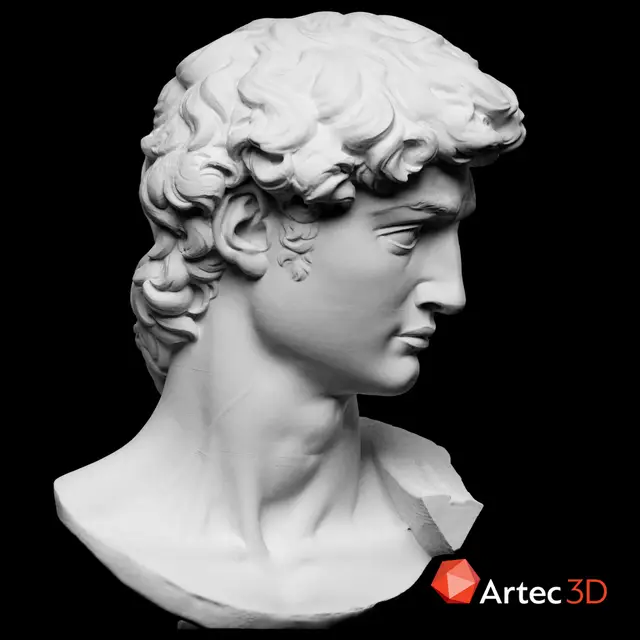 Head of Michelangelo's David — modelo 3D