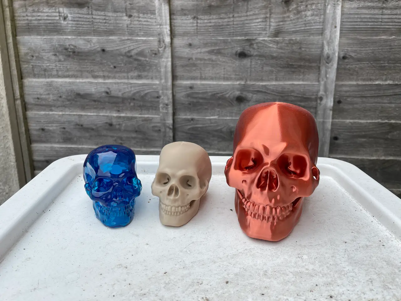Human Skull — modelo 3D