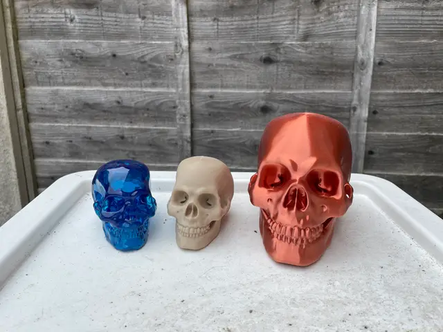 Human Skull — modelo 3D