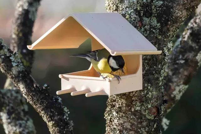 Mangeoire à oiseaux Support boule de graisse / Bird feeder fat ball holder — modelo 3D