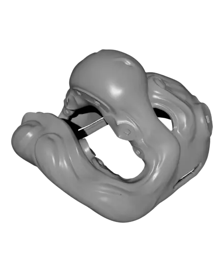 Dragonite Menpo Mask — modelo 3D