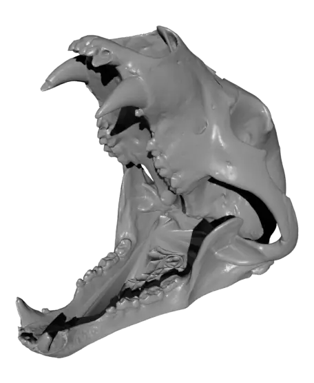bear roller.stl — modelo 3D