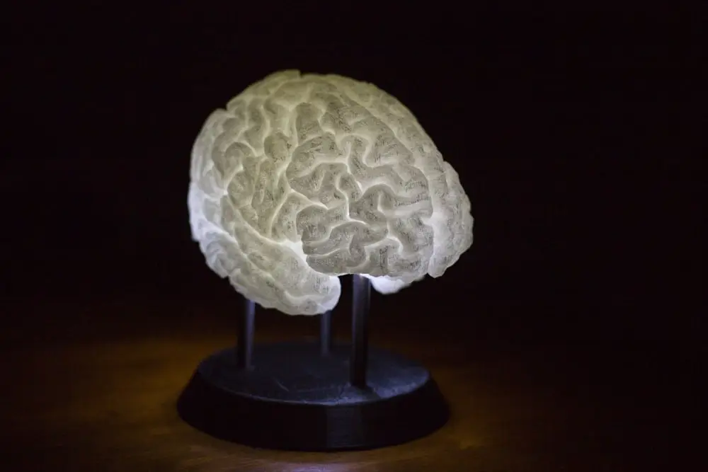 LED-Lit Brain — modelo 3D