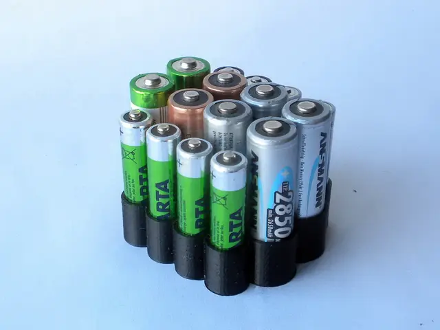 AA & AAA Battery Organizer. — modelo 3D