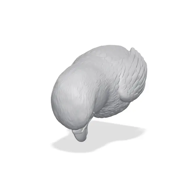 Eagle Bust 3D Print STL — modelo 3D