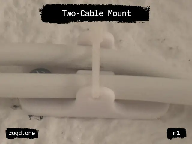 Dual Cable Wall Mount with Zip-Tie Retainer — modelo 3D
