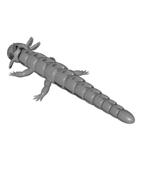 Articulated Axolotl v2 for the flash contest — modelo 3D