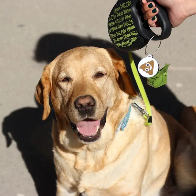 Multi-Color Dog Poop Bag Dispenser — modelo 3D