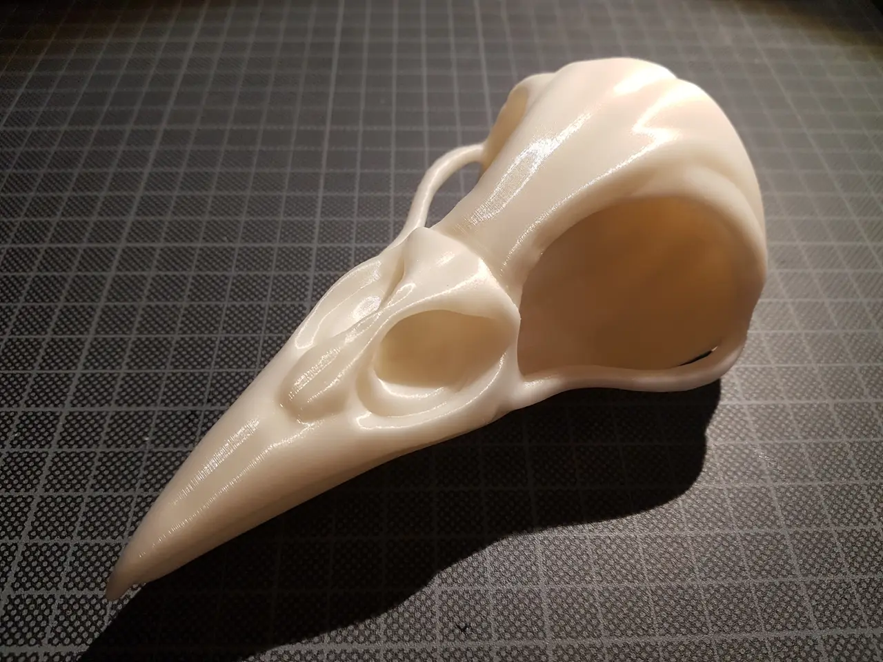 Raven Skull — modelo 3D