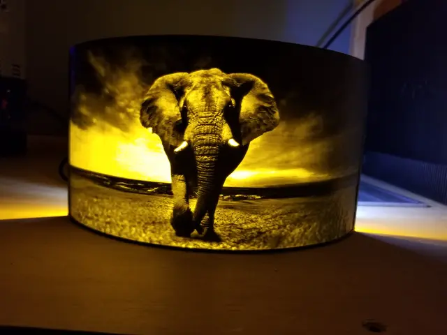 Elephant Lithophane — modelo 3D