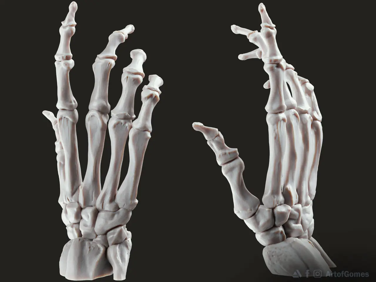 Bone Hand Free STL — modelo 3D