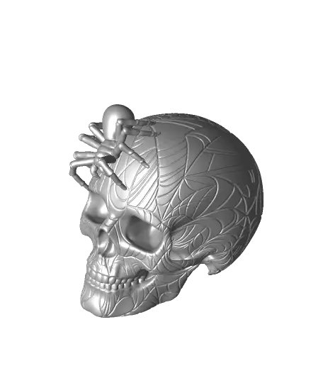Spider Skull — modelo 3D