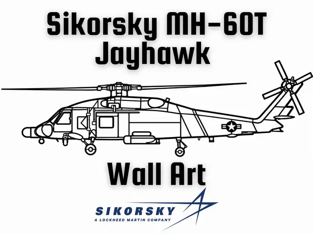 Sikorsky MH-60T Jayhawk Wall Art — modelo 3D