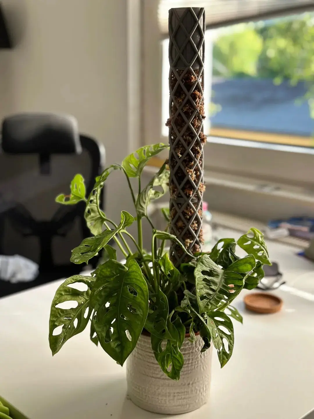 Moos Stab | Moss Pole - self watering — modelo 3D