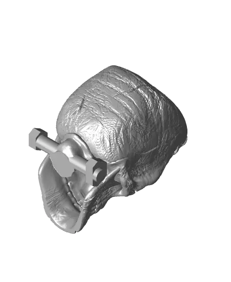 The Skull of Frankenstein — modelo 3D
