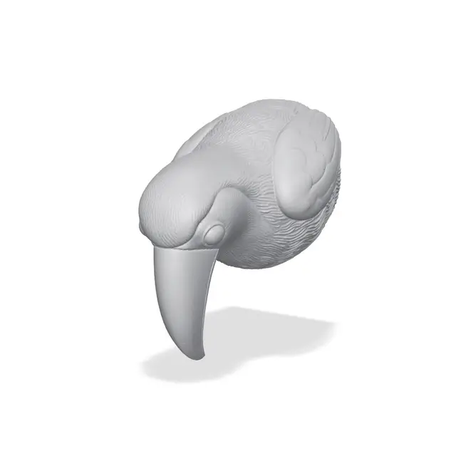 Toucan Bust 3D Print STL — modelo 3D