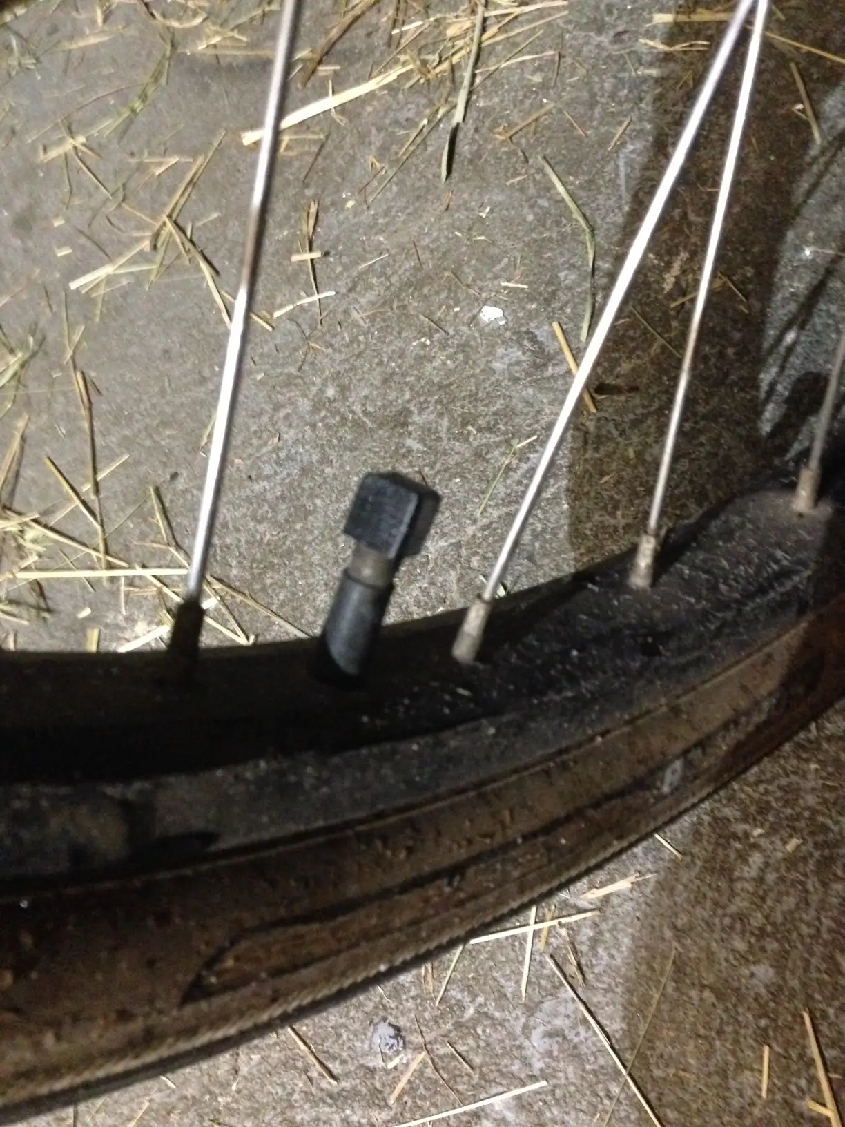 Bicycle valve cap — modelo 3D