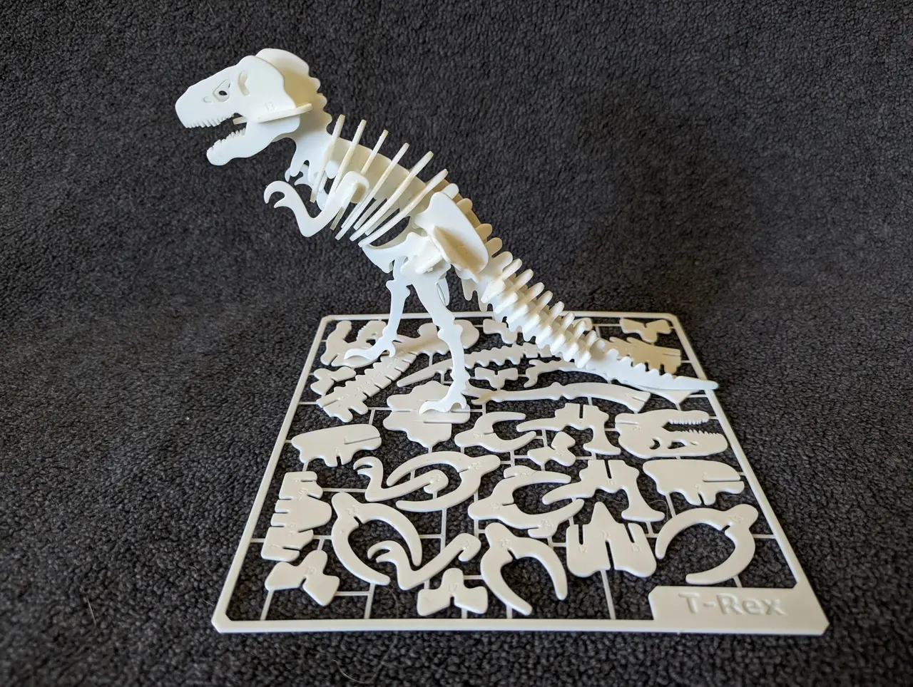 T-Rex Skeleton Kit Card — modelo 3D