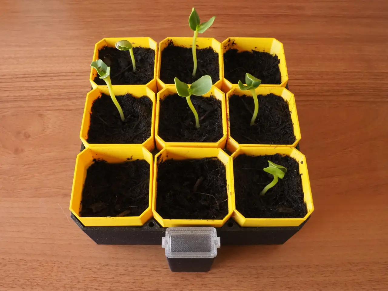 Small Self-Watering Seed Starter — modelo 3D