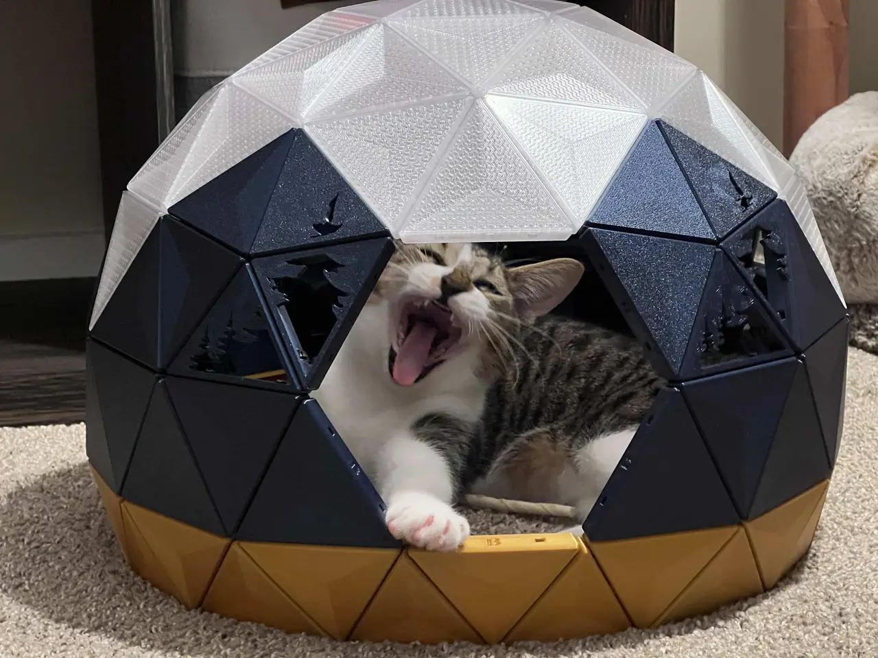 Geodesic Dome Cat House - Pine Tree Cutouts — modelo 3D