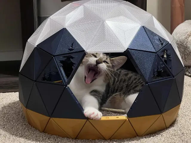Geodesic Dome Cat House - Pine Tree Cutouts — modelo 3D