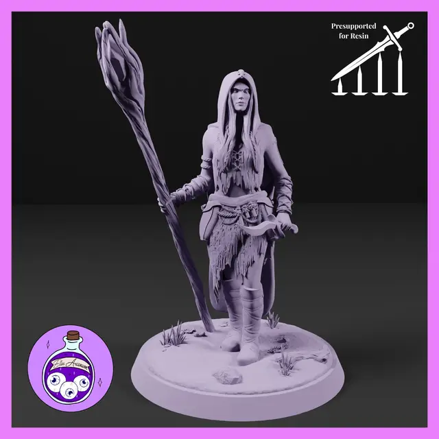 Elf Sorcerer Woman — modelo 3D