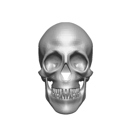 SKULL — modelo 3D