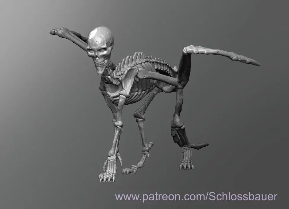 Lammasu Skeleton — modelo 3D
