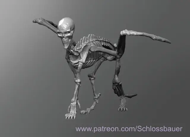 Lammasu Skeleton — modelo 3D