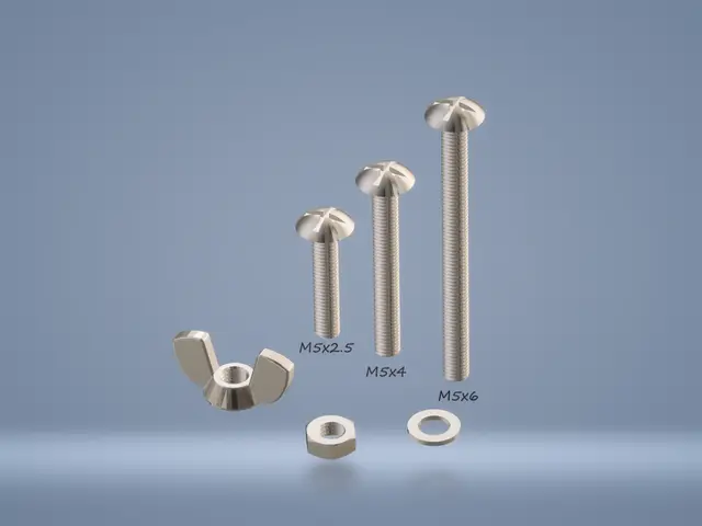 Screw M5 / Screw M5 — modelo 3D