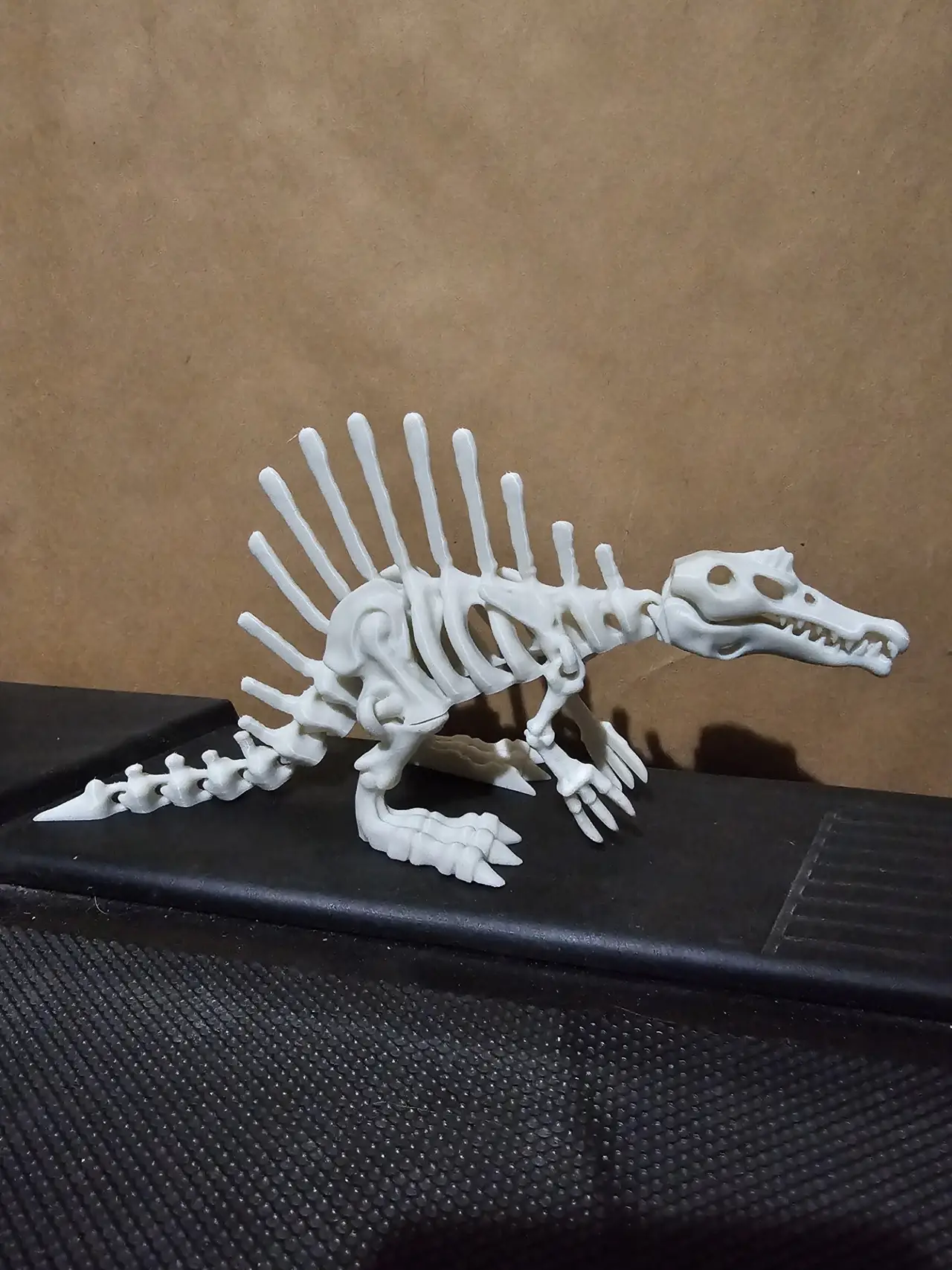 Articulated dinosaur skeleton 4 — modelo 3D